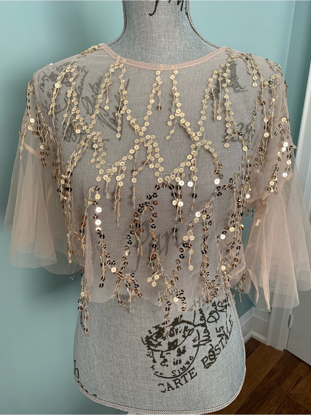 NUDE Sheer Mesh Crop Top with Gold Sequin Tassels
